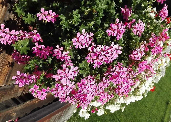 Apartamento Vorderaltensberg *